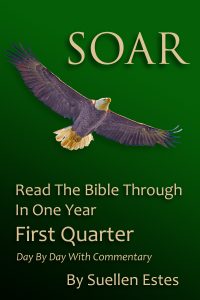 Soar-Read The bible-1st Qt